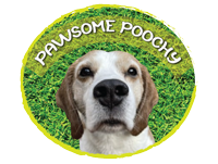 Dog Walking Services